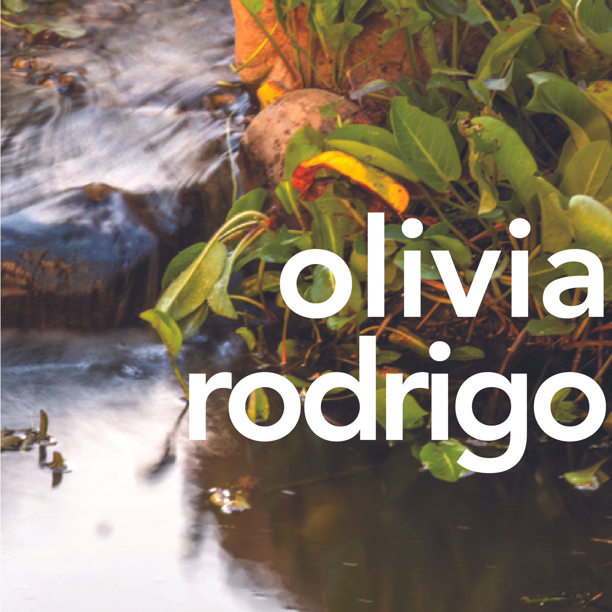 Olivia Rodrigo.jpg