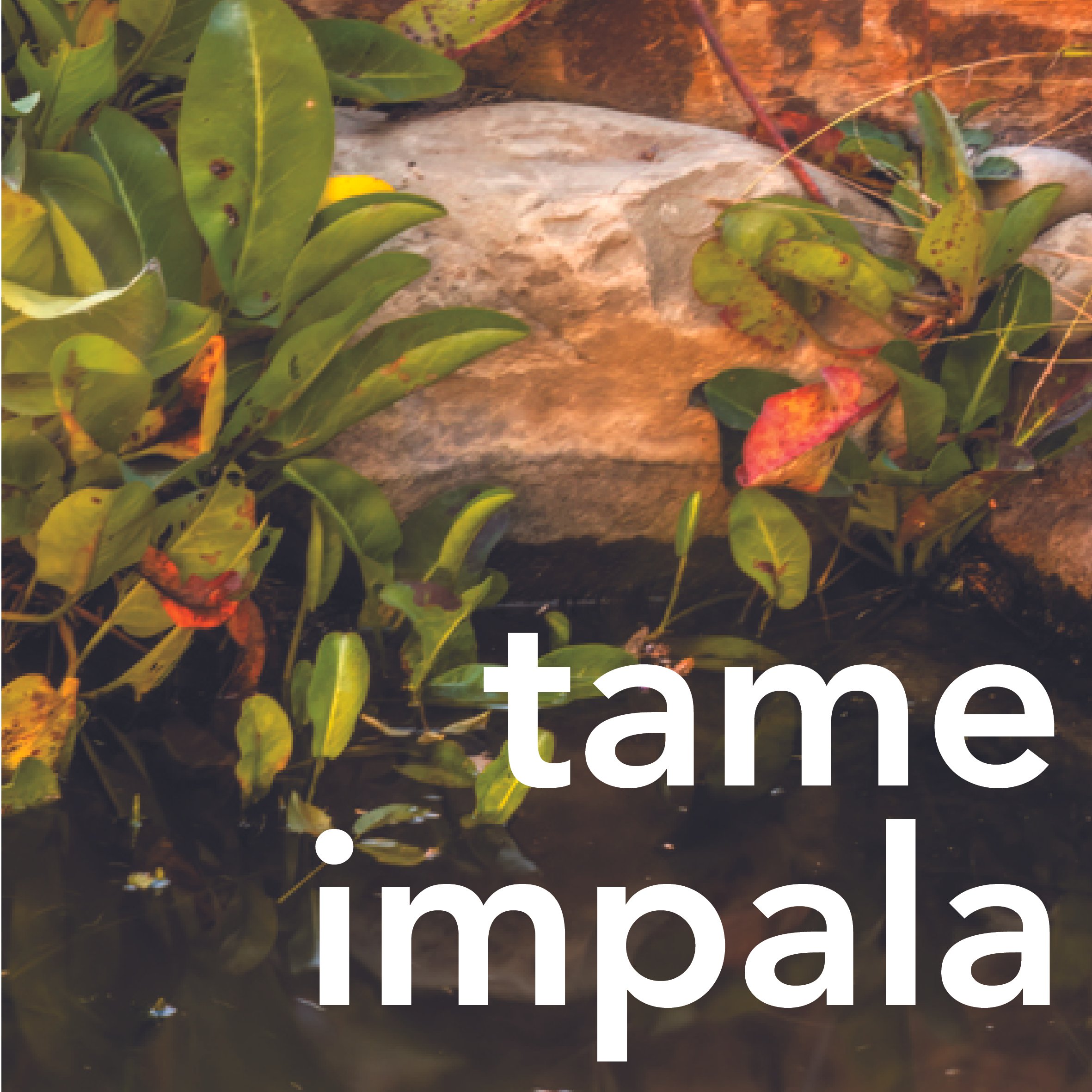 Tame Impala.jpg
