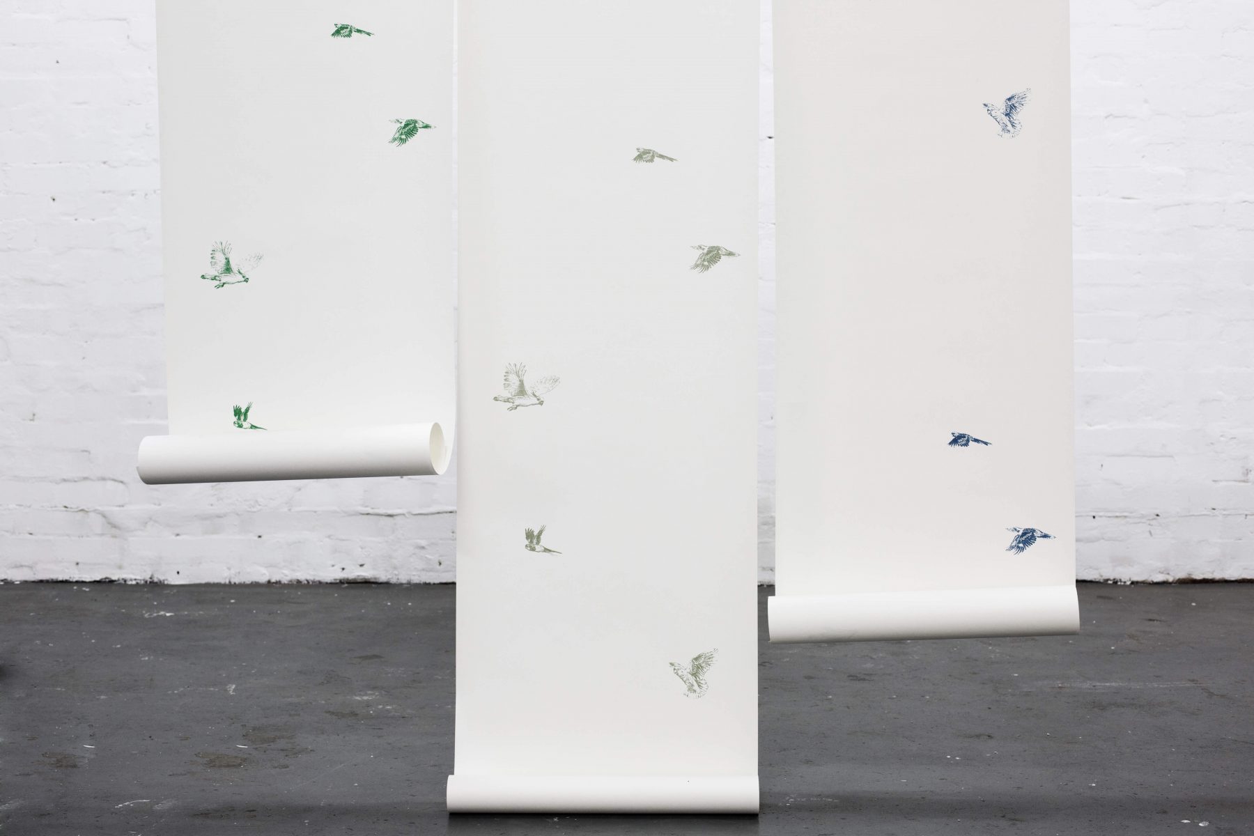 Teeny tiny native birds in a large flock, wallpapers.