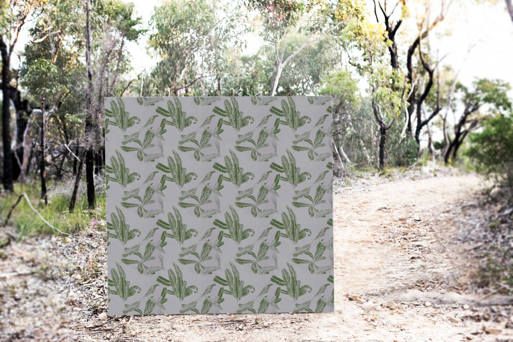 Banksia, wallpaper.