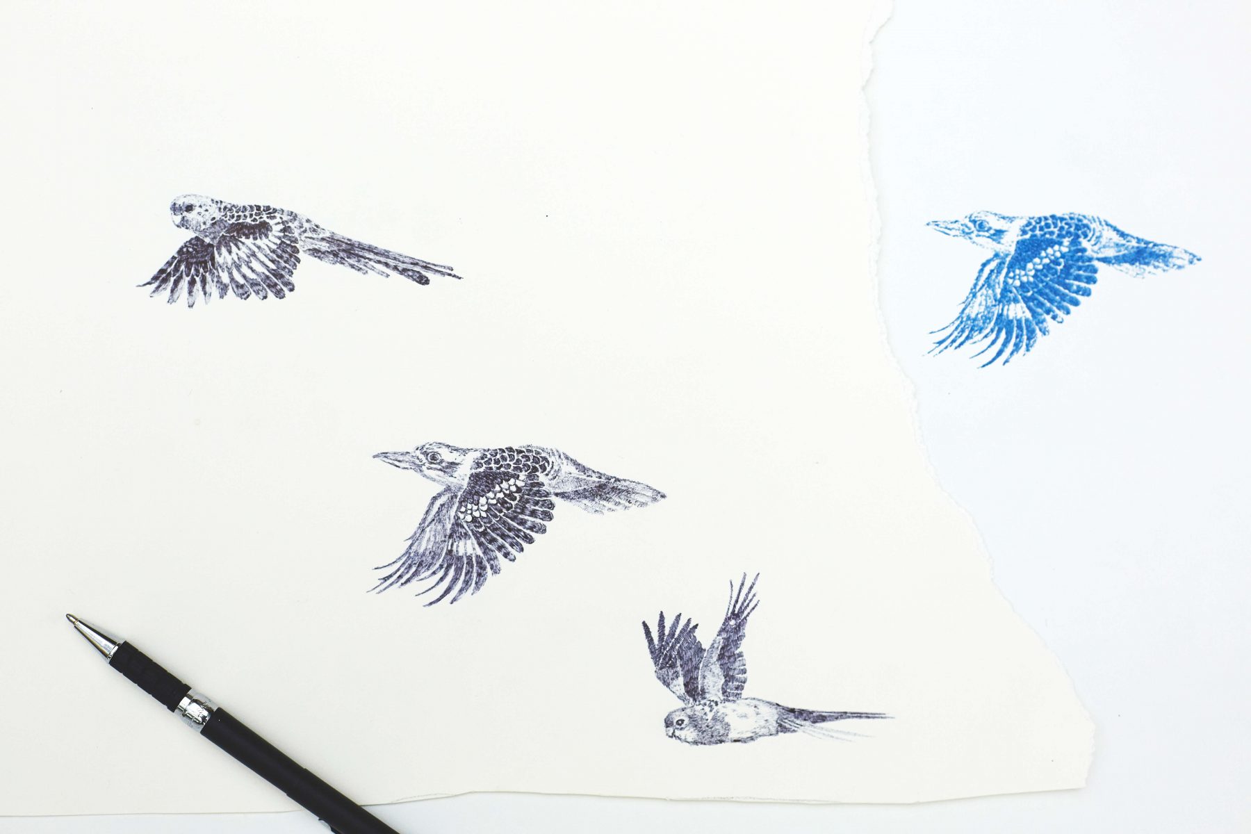 Biro birds and screen printed kookaburra.