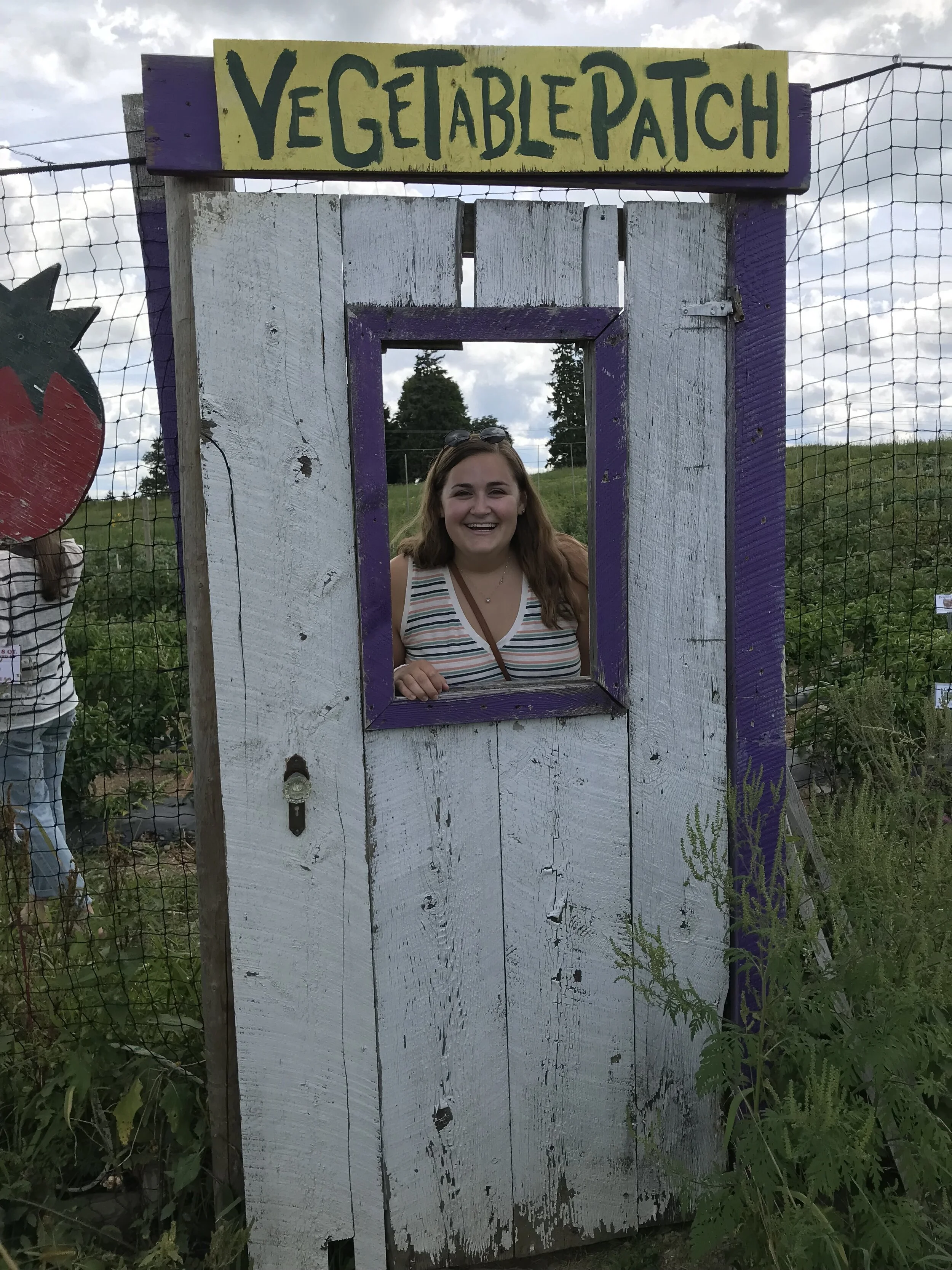 Taking the Vegan High Road: Starting the Journey