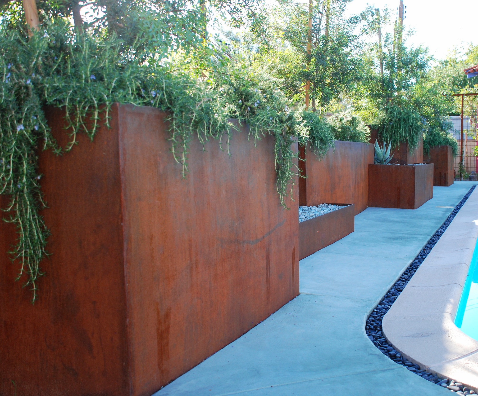 Jogged steel planters created dimensional interest along the back side of a pool.