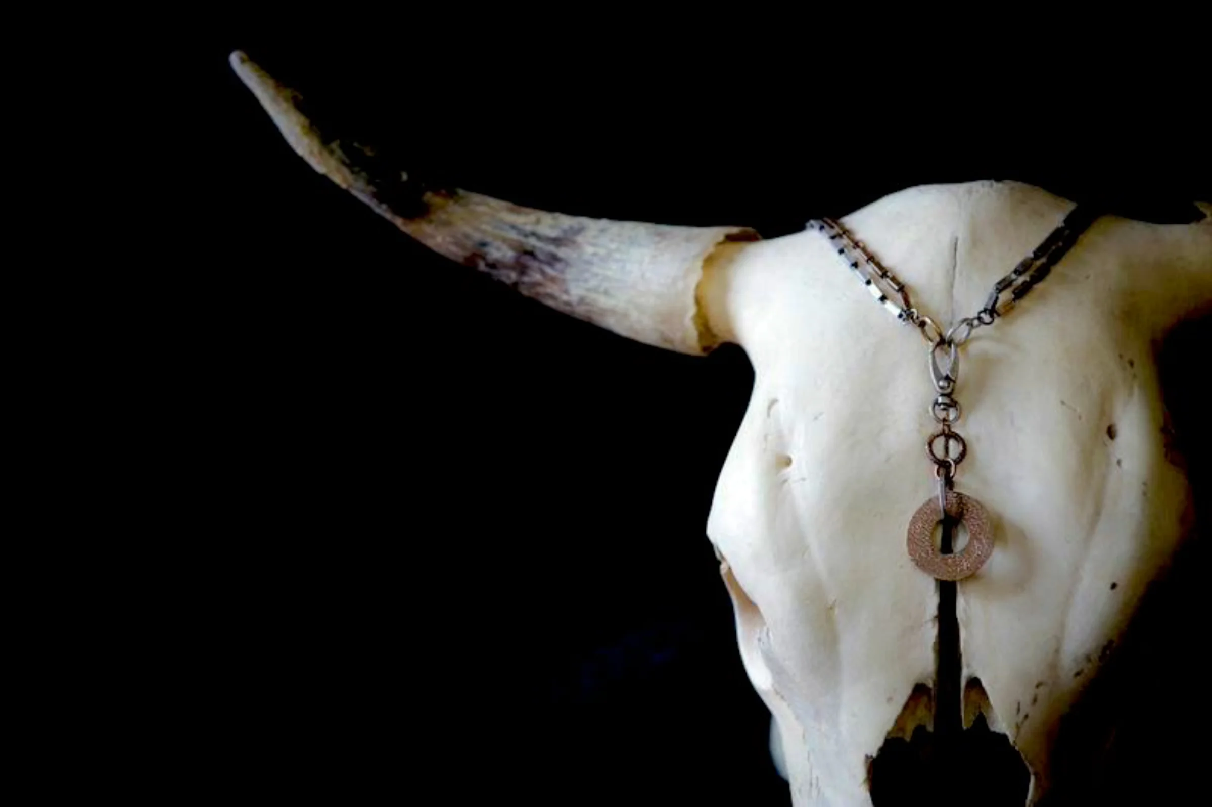 cowskull headshot.jpg