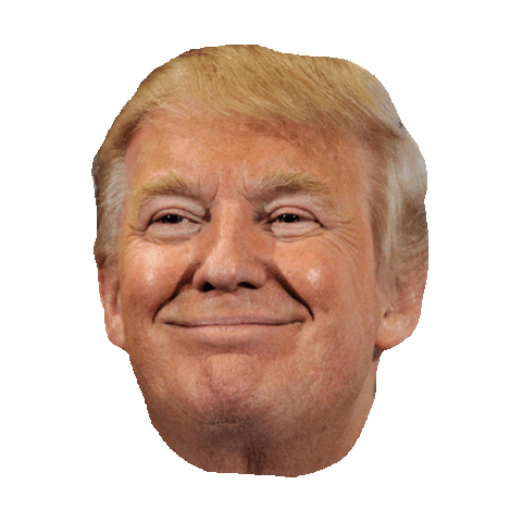 giphy 10.42.59 AM.gif