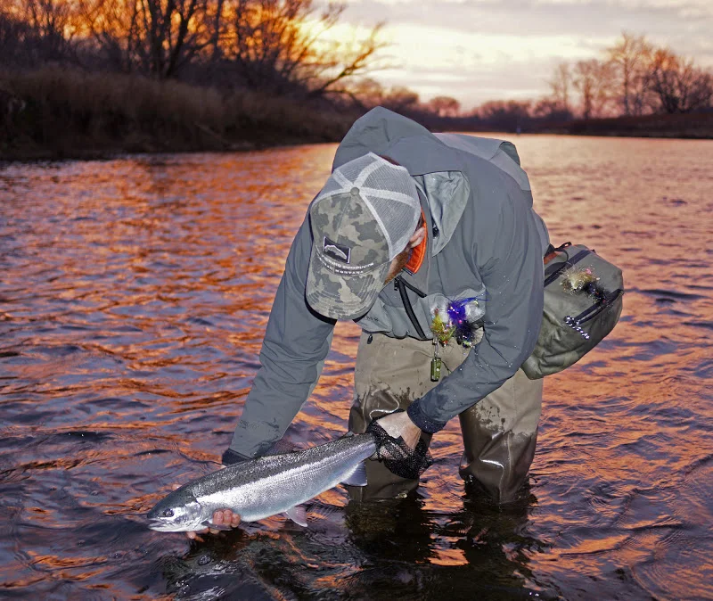 Jake DSR Steelhead Sunset Redux 2.jpg
