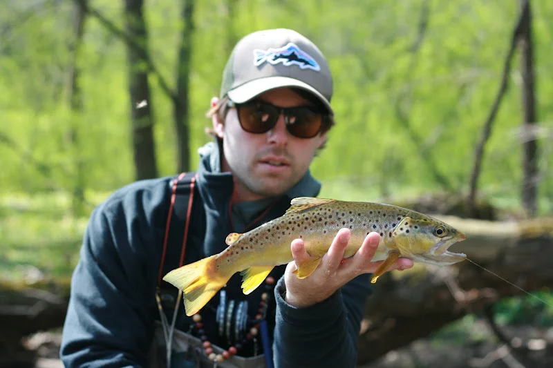 IMG_9760.jpg