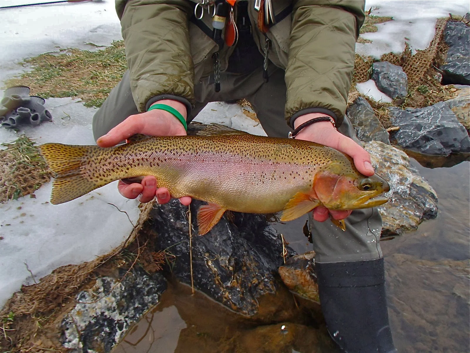 P2091450.jpg