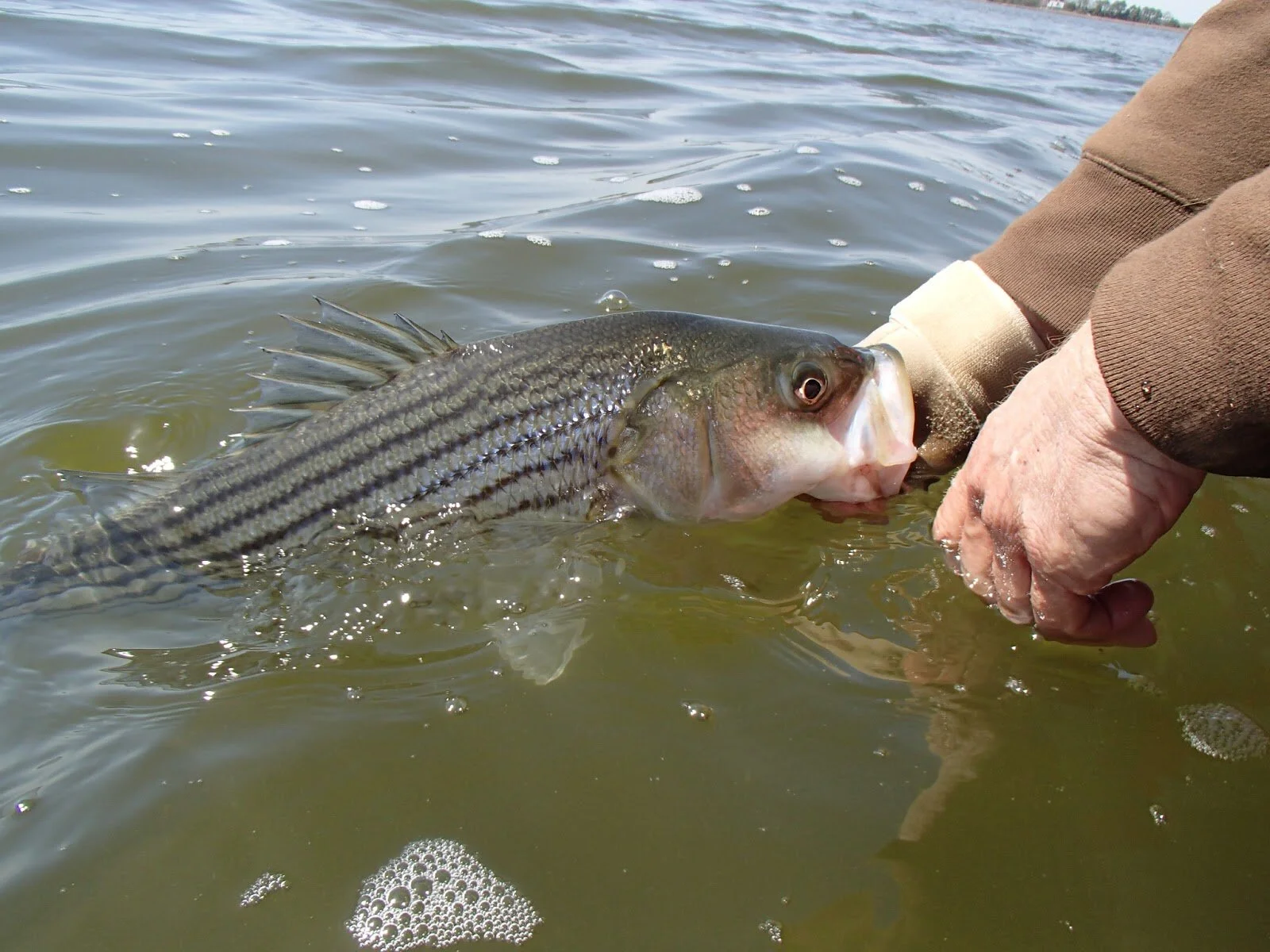 P4130356.JPG
