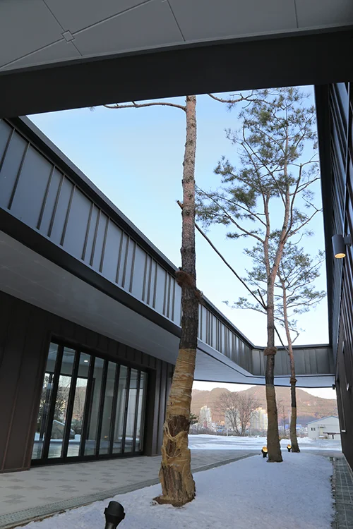 [750x550] 04.IMG_5406(m)-reduced.jpg