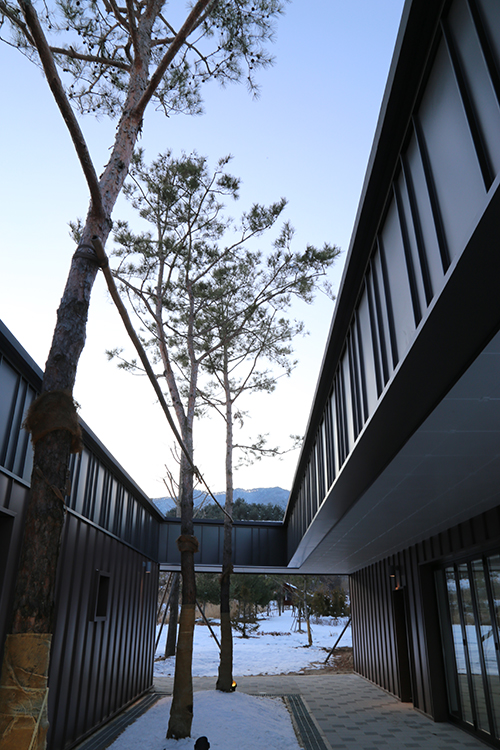 [750x550] 11IMG_5447-reduced.jpg