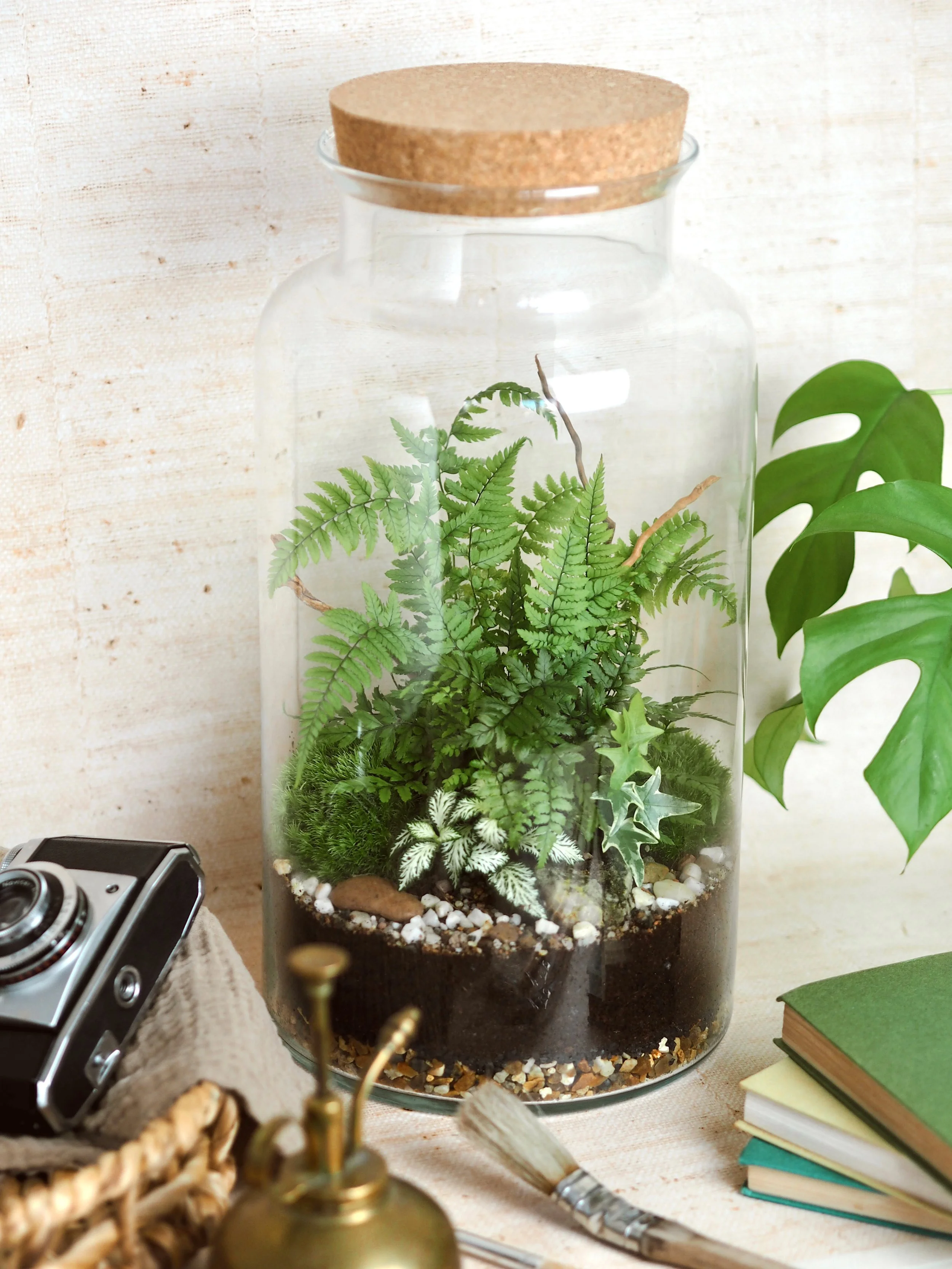 Tall jar terrarium.jpeg