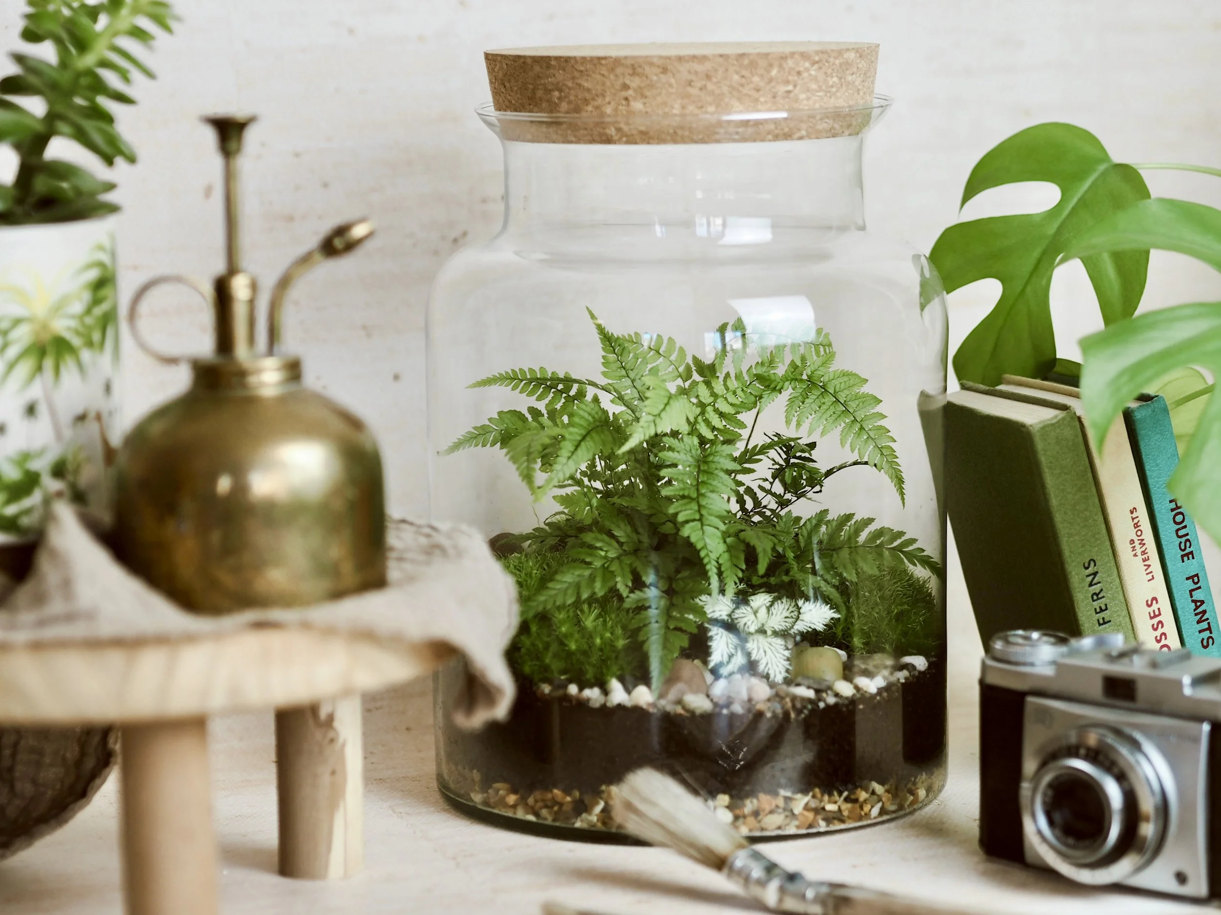 Large jar terrarium.jpeg