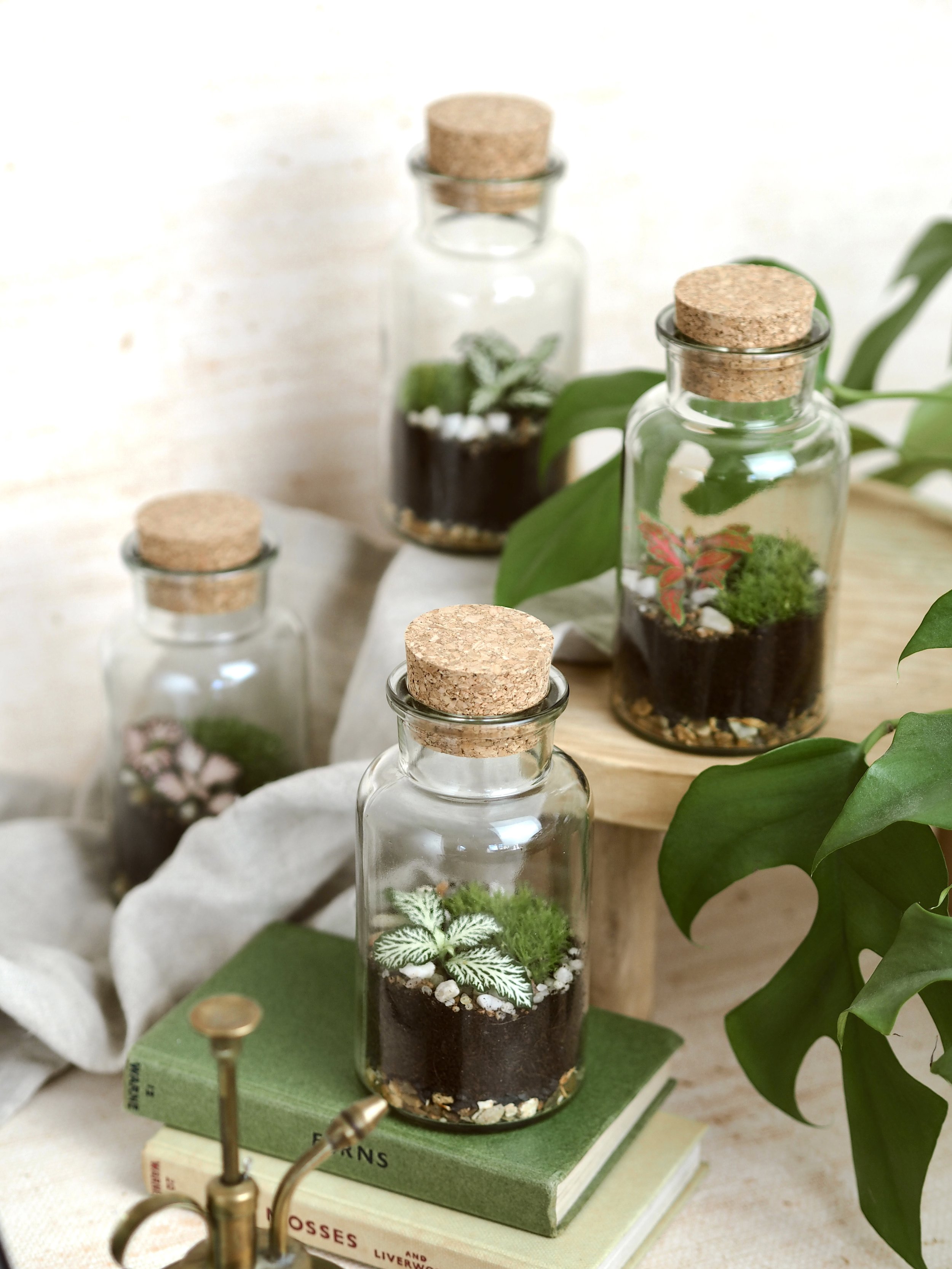 Mini terrariums.jpeg