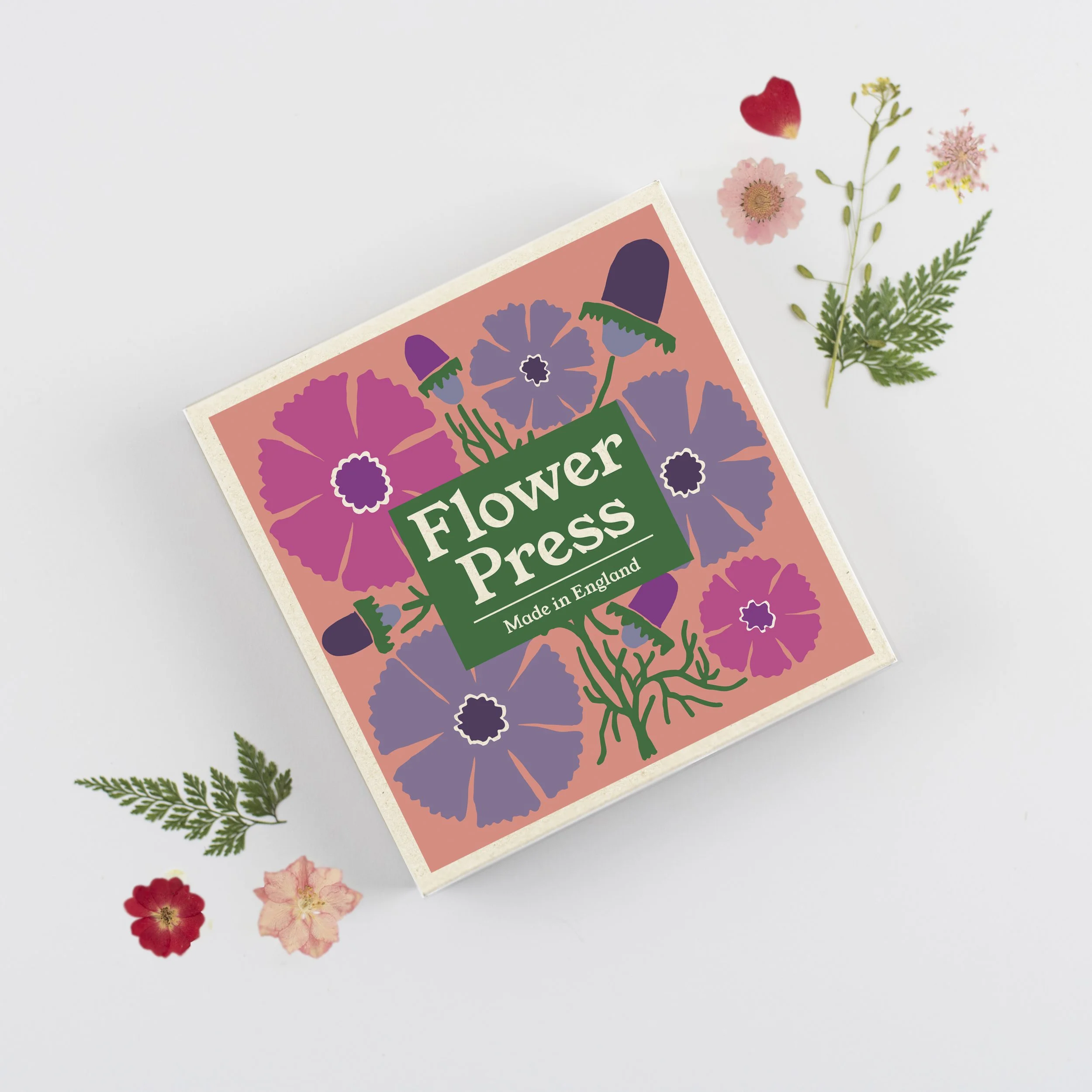 Flower Press - Cosmos pack 25- .jpg