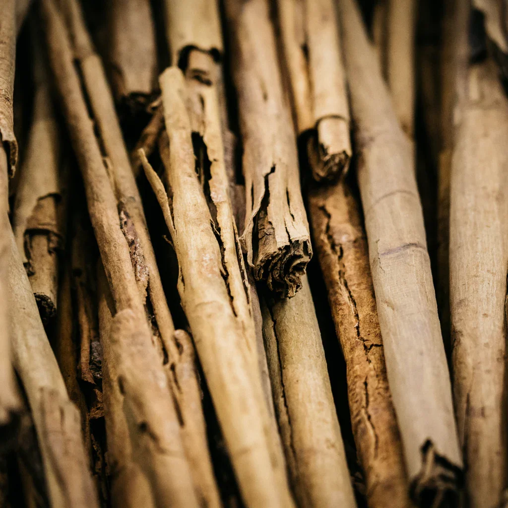 Cinnamon sticks.webp