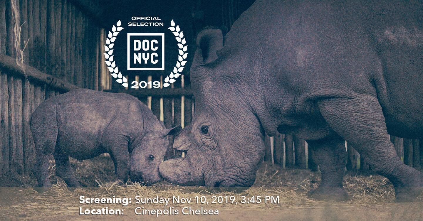 Last call for last minute line!  Come see us at @docnycfest