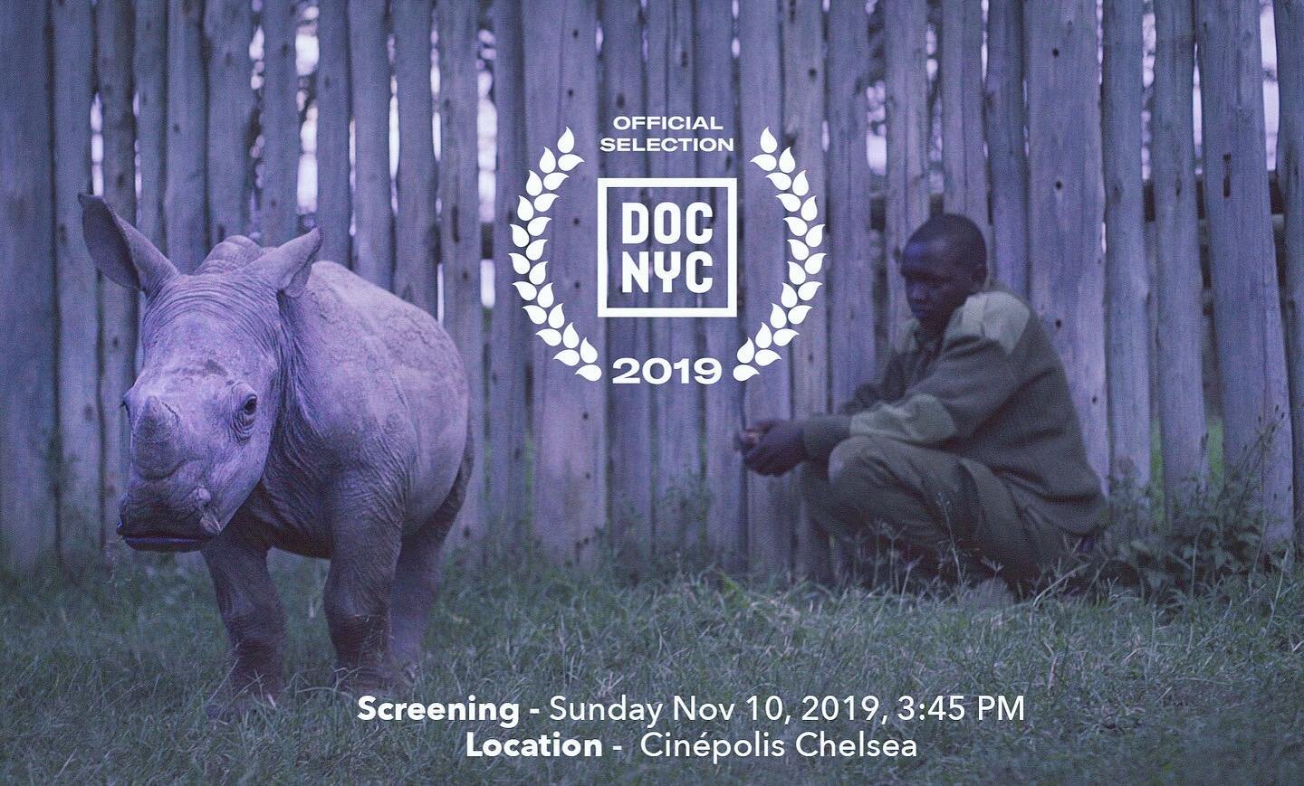 NYC!  This weekend, come and see KIFARU for just $10 per ticket at @docnycfest on 11.10. This special offers runs ‪until noon today! (Tues Nov 5‬) so get in quick!  Link in bio for tickets!#DOCNYC #KIFARU #premiere #NYC #filmfestival #extinction