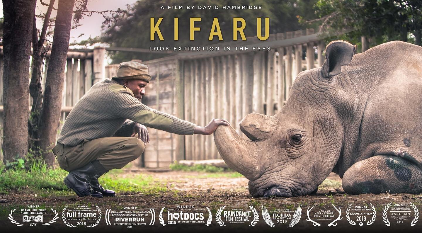 UK Premiere Tonight! 🇬🇧🚨@raindancefilmfestival we will be screening at 8:45pm (20:45) at Vue Cinema London - Piccadilly.  The film will follow with a Q&amp;A with Director @thatguyhambone and both rhino caretakers from the film @jemu_mwenda &amp; 