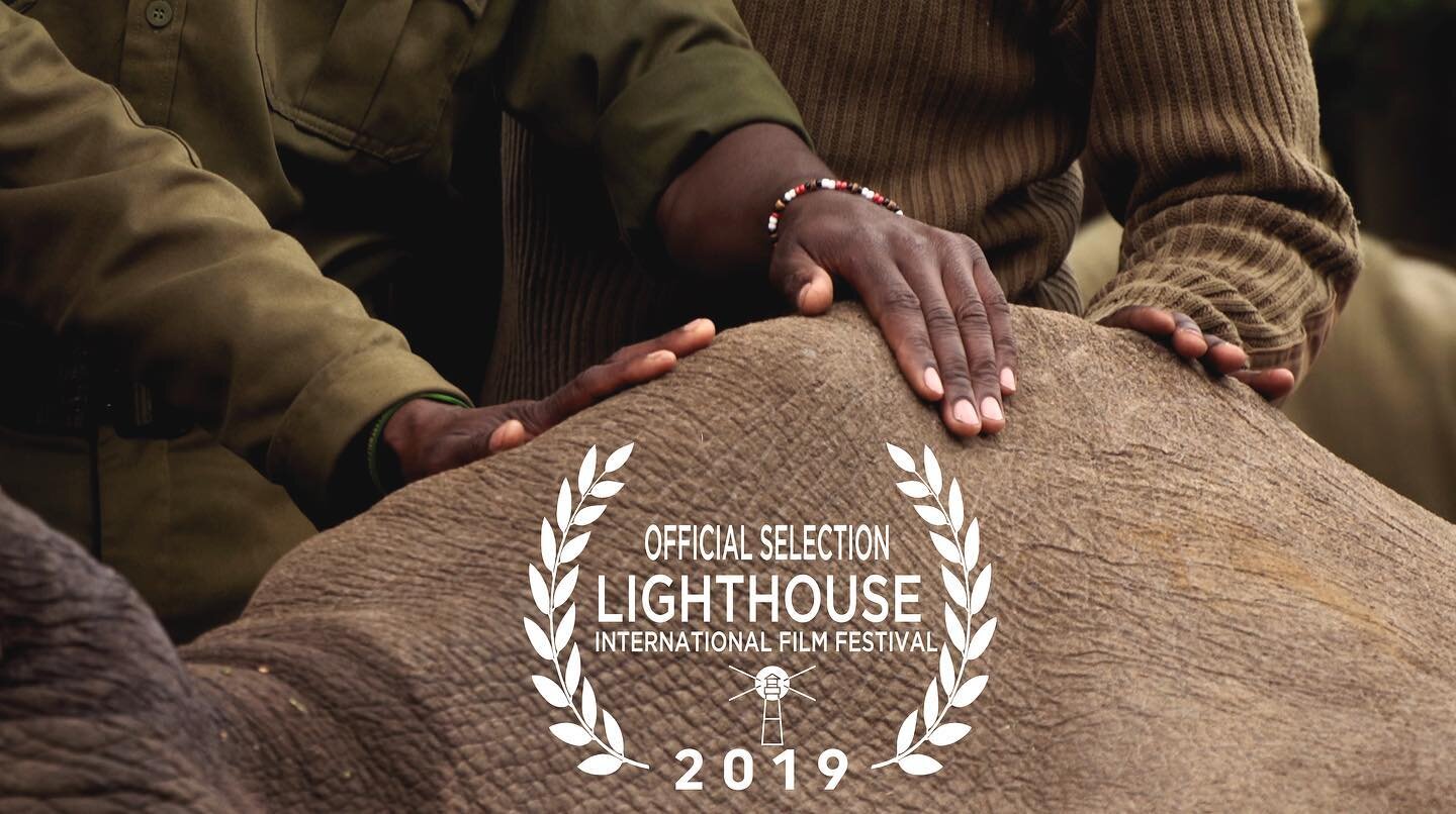 New Jersey! We&rsquo;re excited to share our story with you next Saturday at Lighthouse International Film Festival in Long Beach Island, NJ. Find tickets &amp; info for all screenings at kifaruthefilm.com/screenings (link in bio)