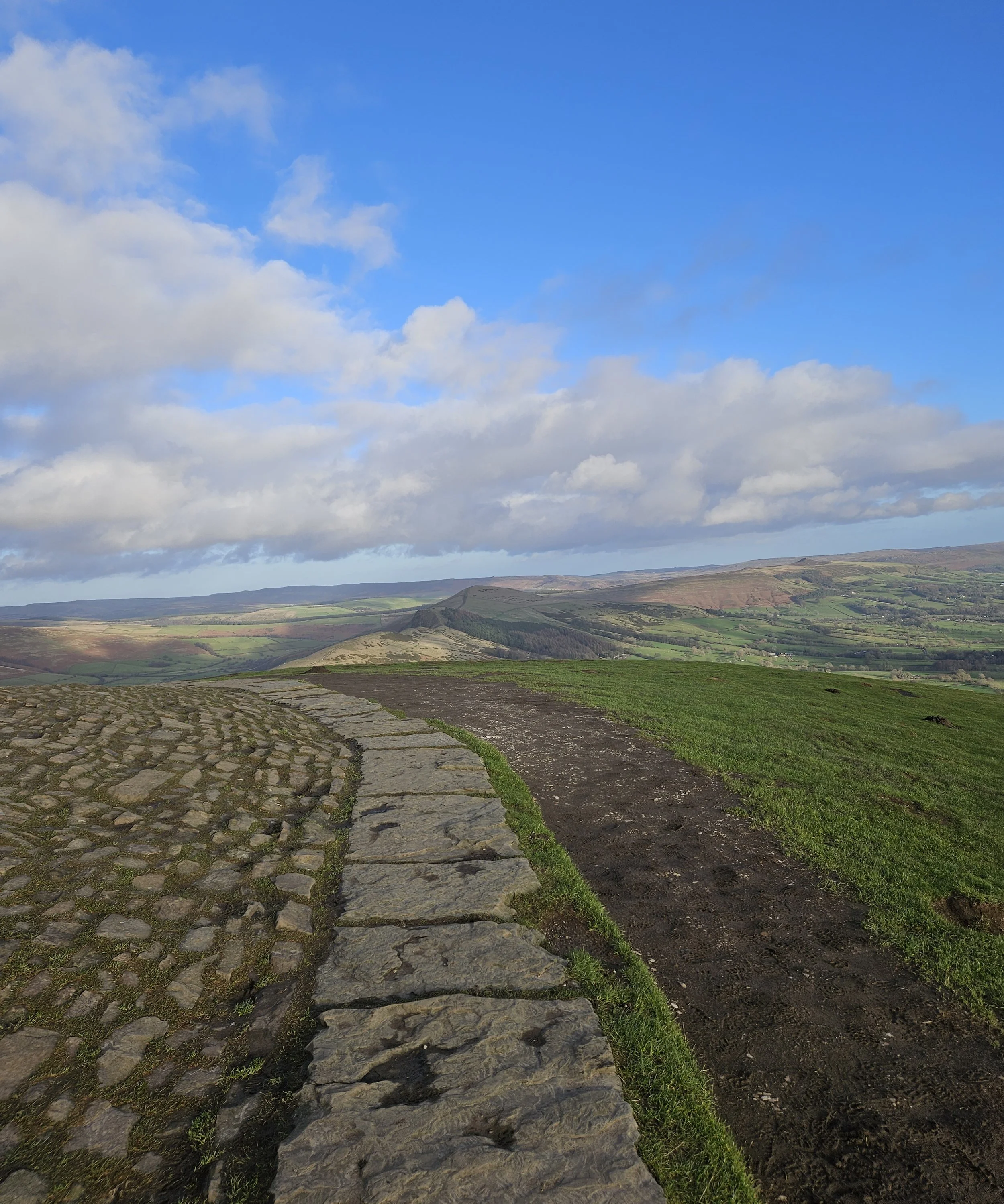 Decisions Are Best Guesses