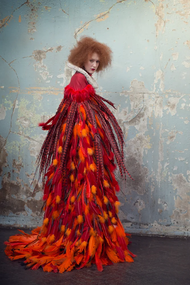 Ruffled feathers