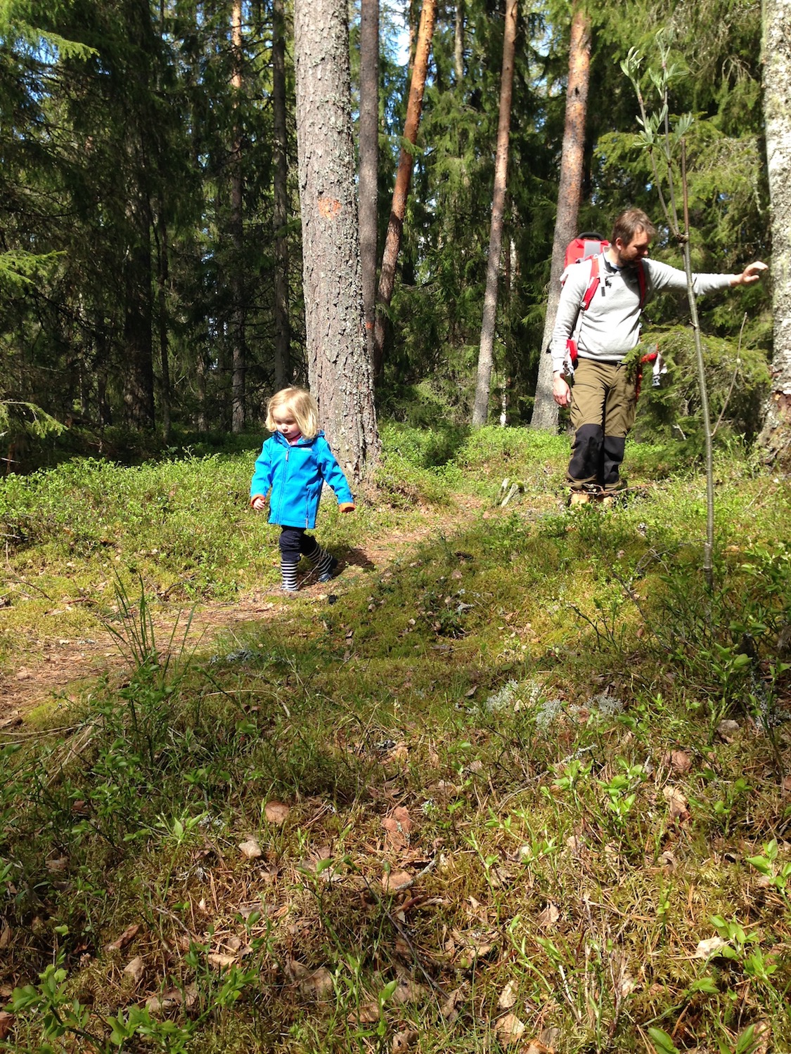 NordicLife hiking.jpg
