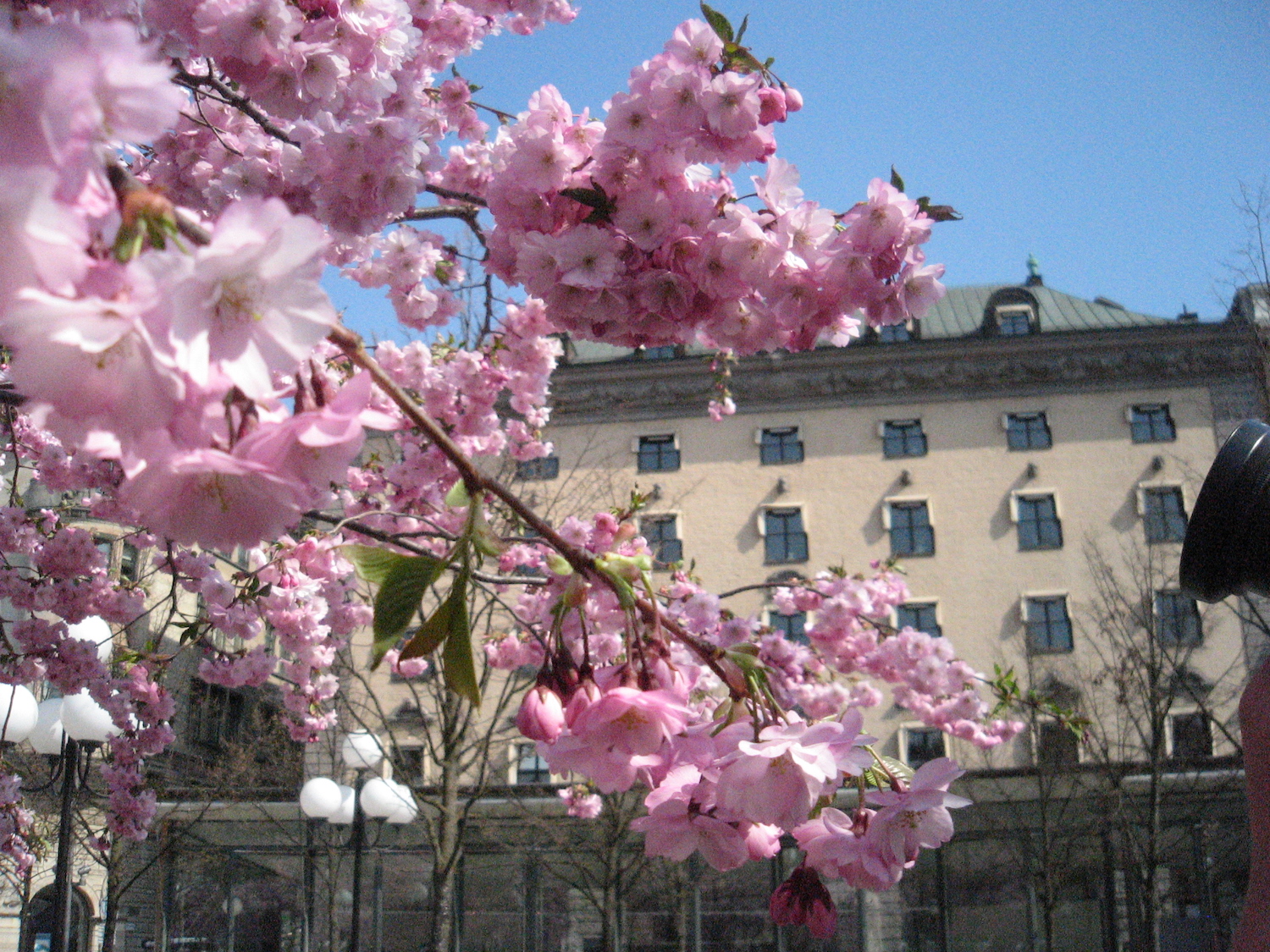 Stockholm Kungsträdgården