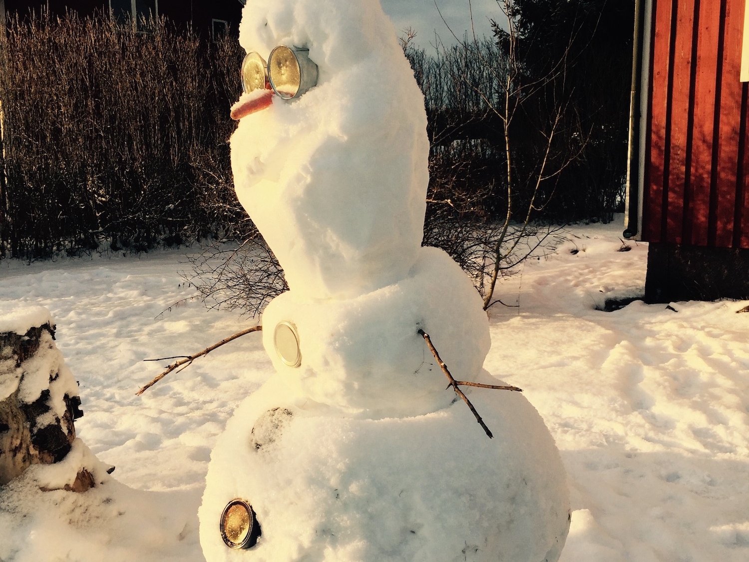 My name is Olaf and I love warm hugs!