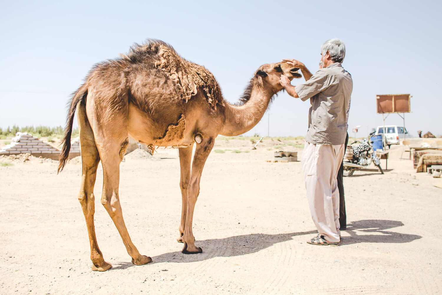 Kashan Kamel Fahrer.jpg