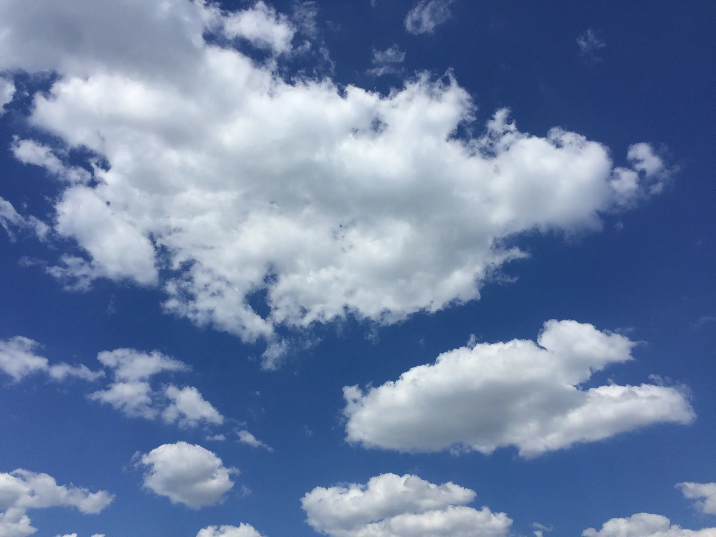 "The Answer My Friend is Blowin' in the Wind"