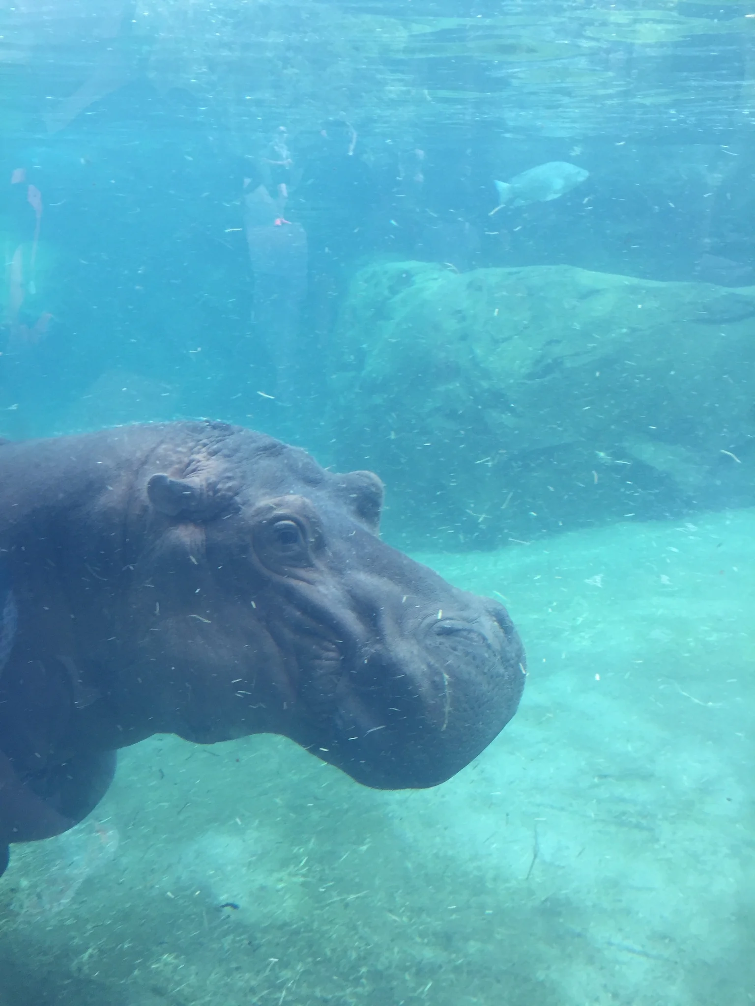 The Kids Might be Back in School, But There are Still Some Great Days Left to Relish Summer