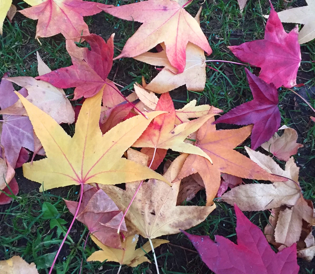 How to Break the Cycle of Seasonal Weight Gain