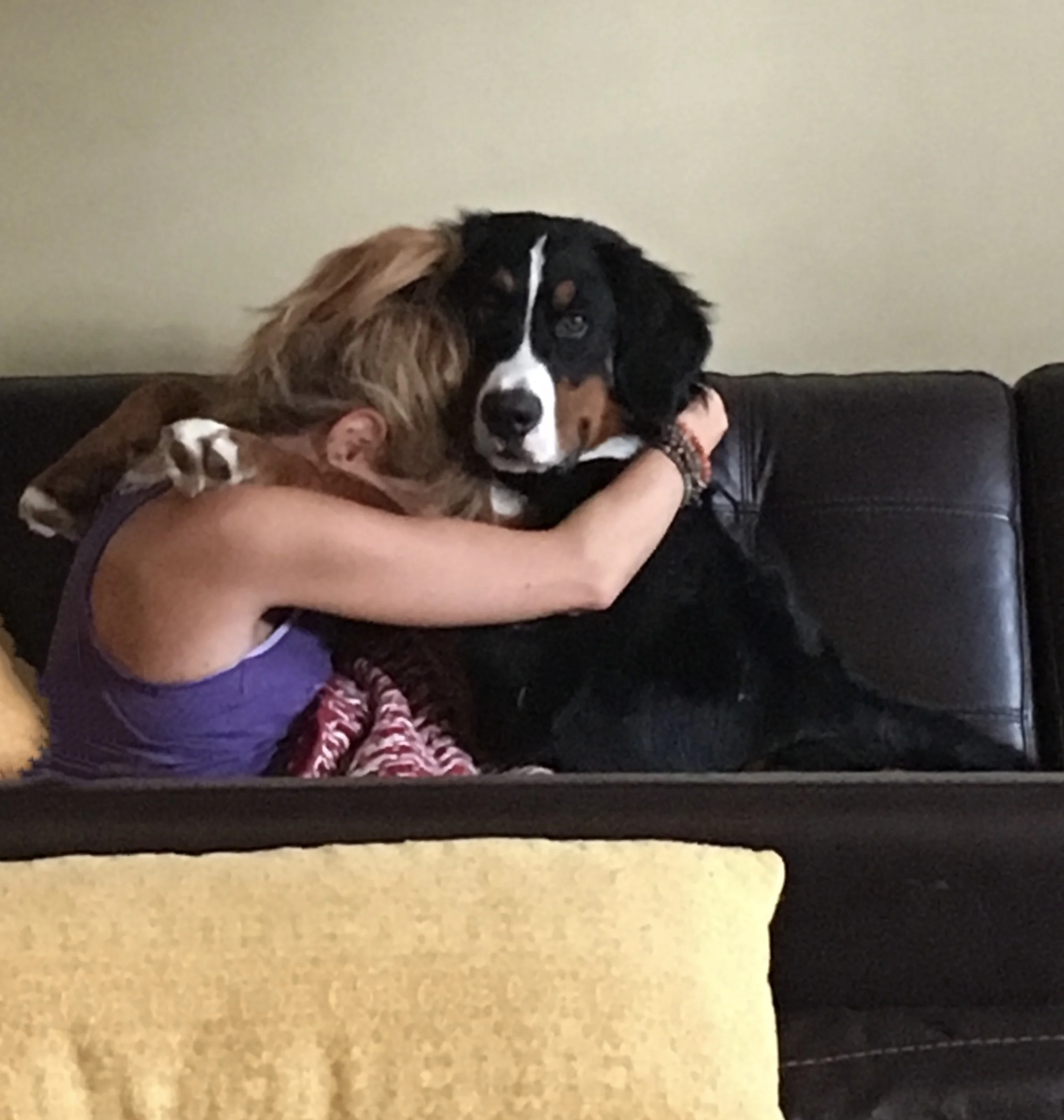 A Single's Guide to Holiday Survival