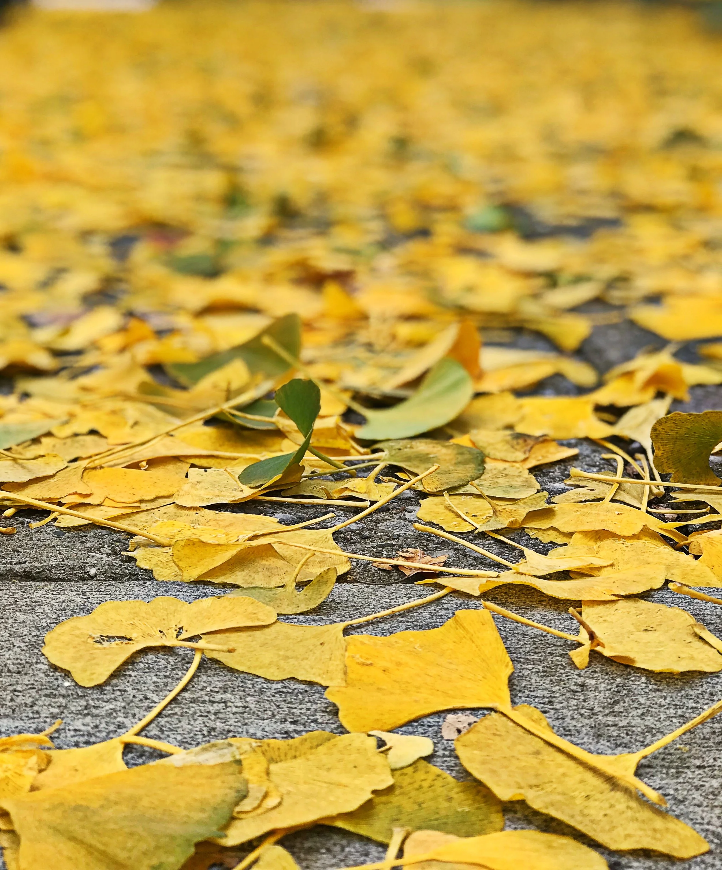 Just Breathe, A Simple Tool to Reduce Stress