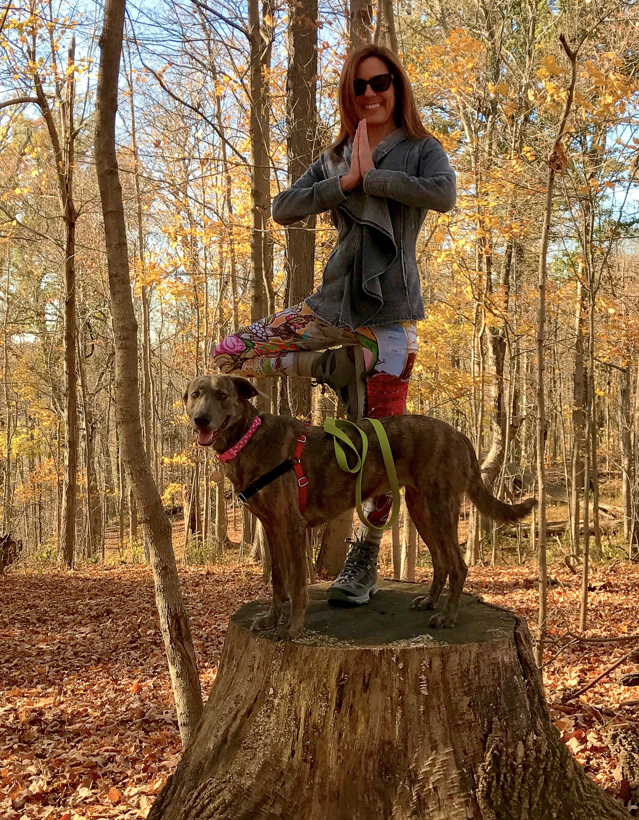 This is Luna, another one of my wonderful rescues. She is always happy to be with me on a hike, a drive, boating, or just laying around. Luna is an absolute great companion!