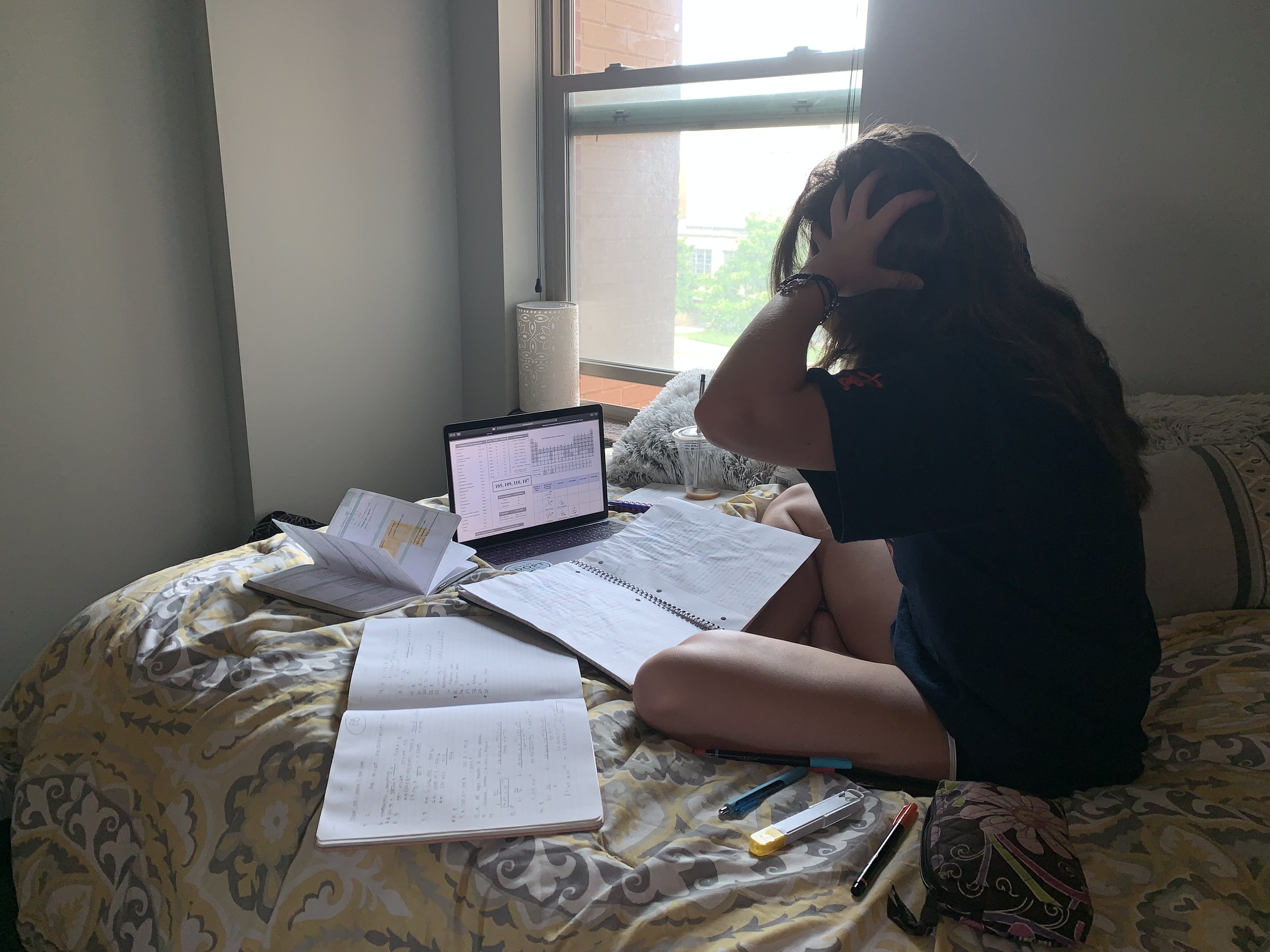 My very own daughter featured here studying for finals Freshman year at U.K. She is on a pre vet track and academics are extremely stressful, in addition to all the other changes college students face. The best thing we can do to help them is let them know we are there for them even from a distance and to teach them coping skills to help them achieve their dreams.