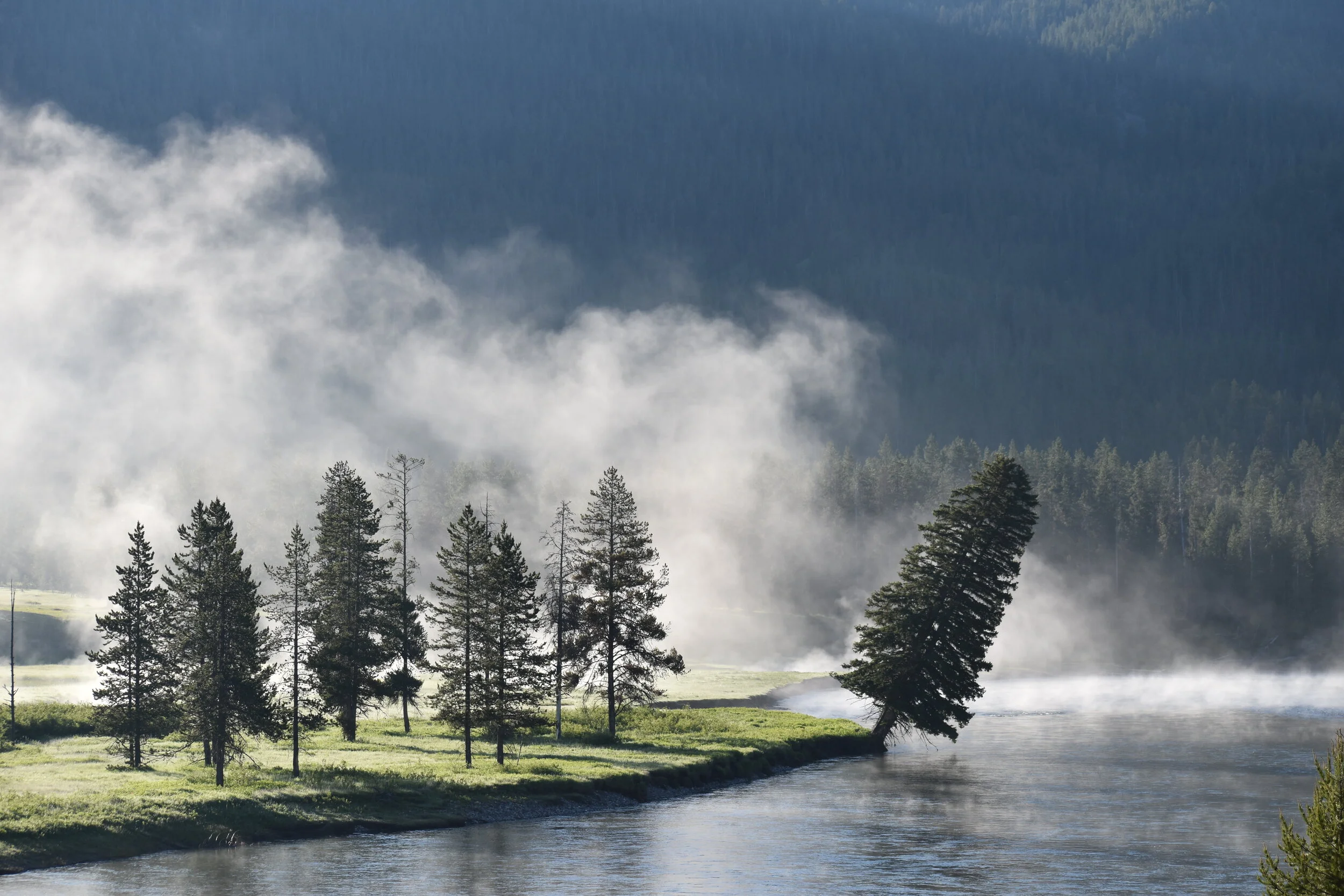 Improving Mental and Emotional Well Being During Covid 19