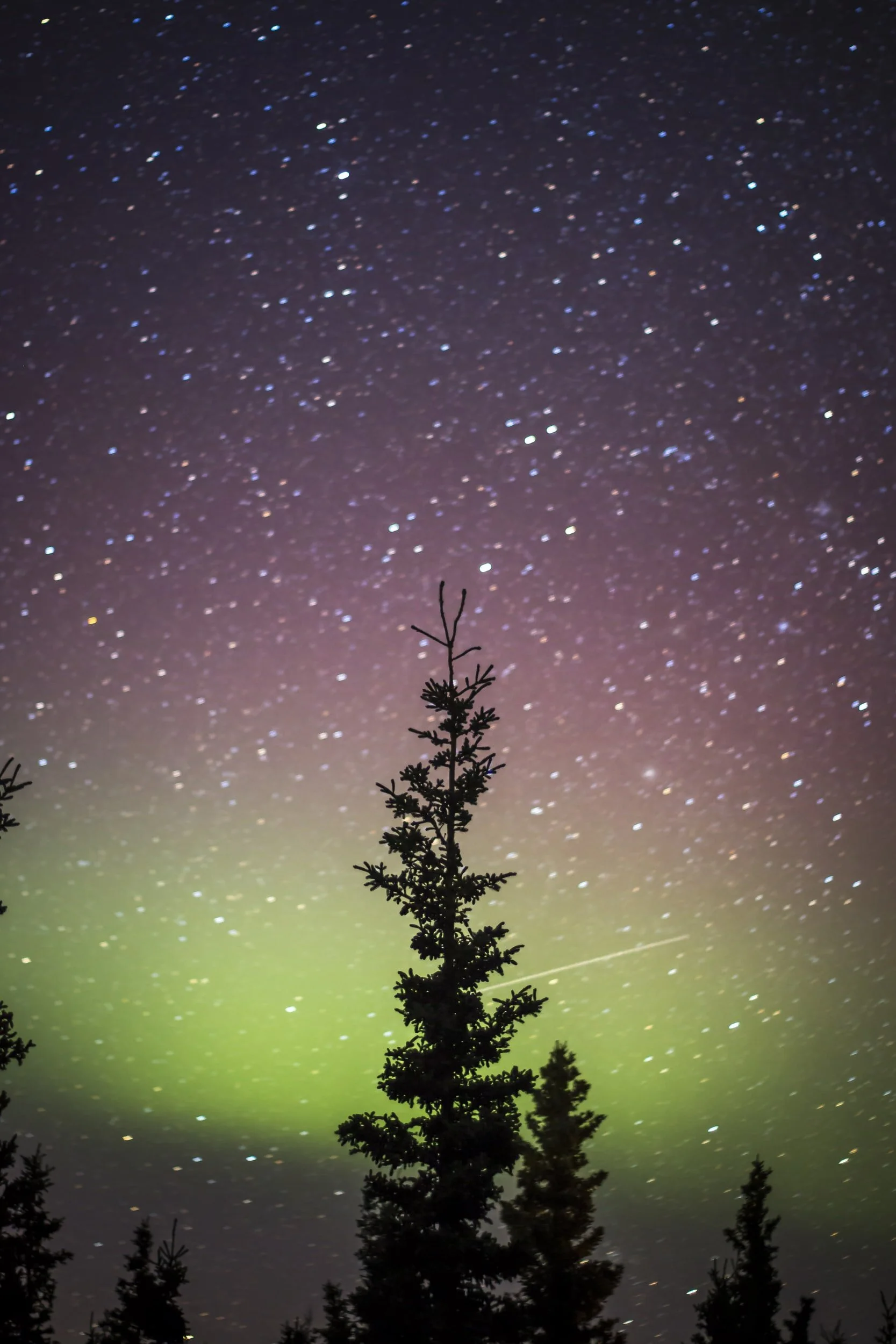 Overcoming Trauma through Higher Consciousness