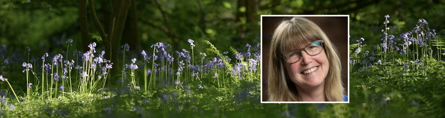 Jane Fisher – CY Site Banner.jpeg