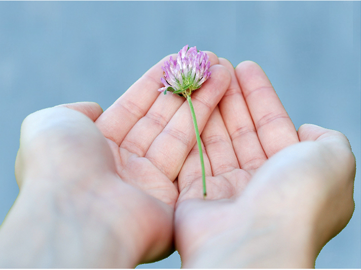 The Truth about the Third Sector