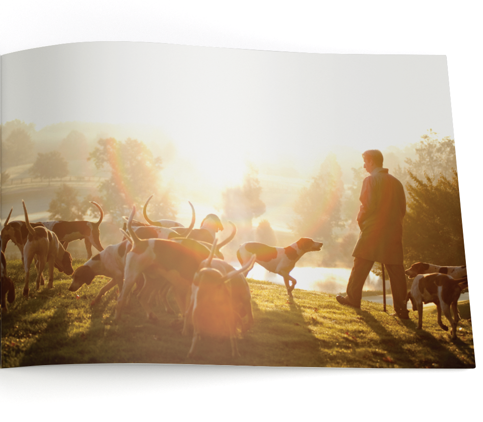 Screen Shot 2018-03-21 at 5.54.41 PM.png