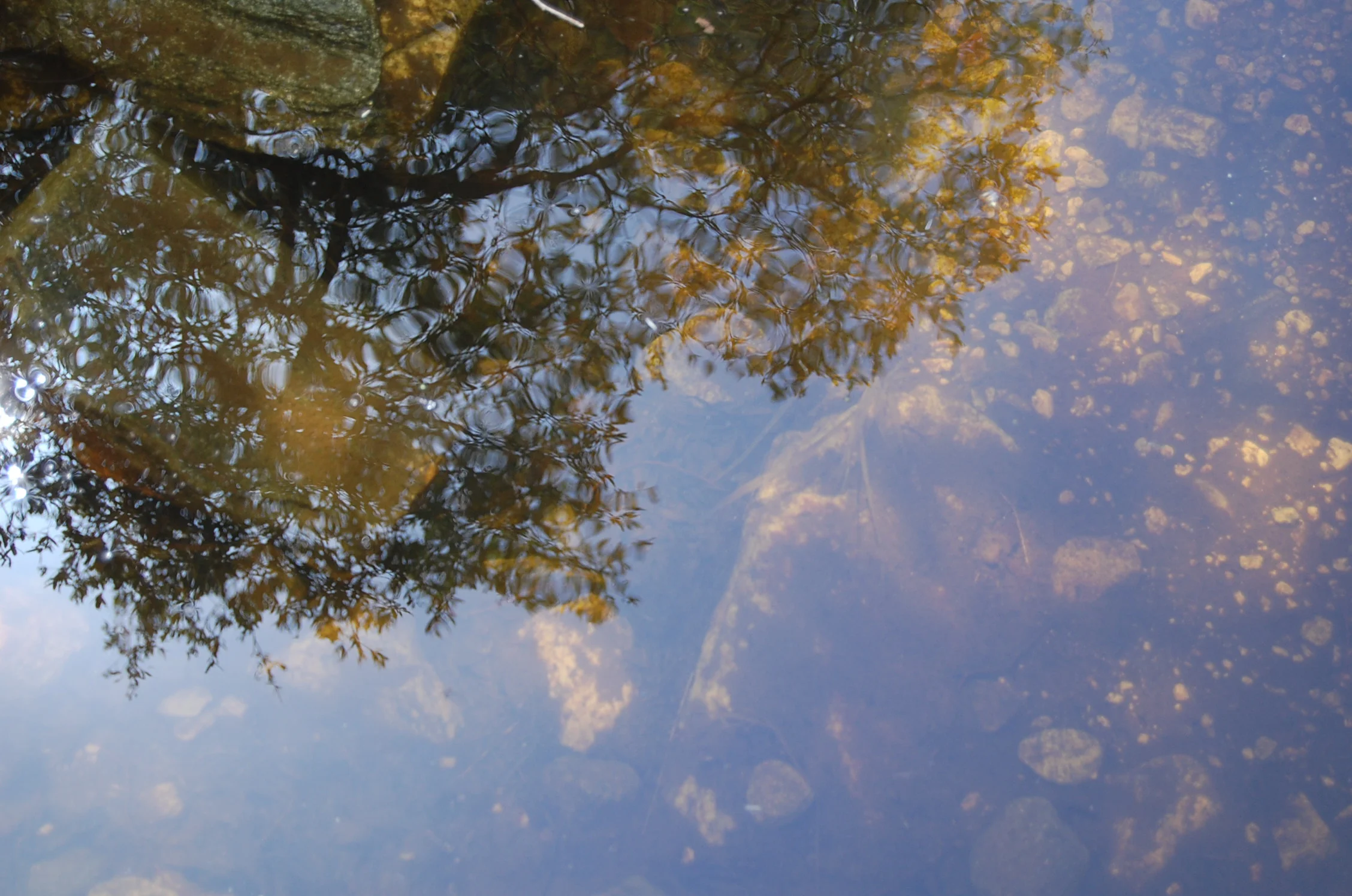 New Adventures_026.JPG