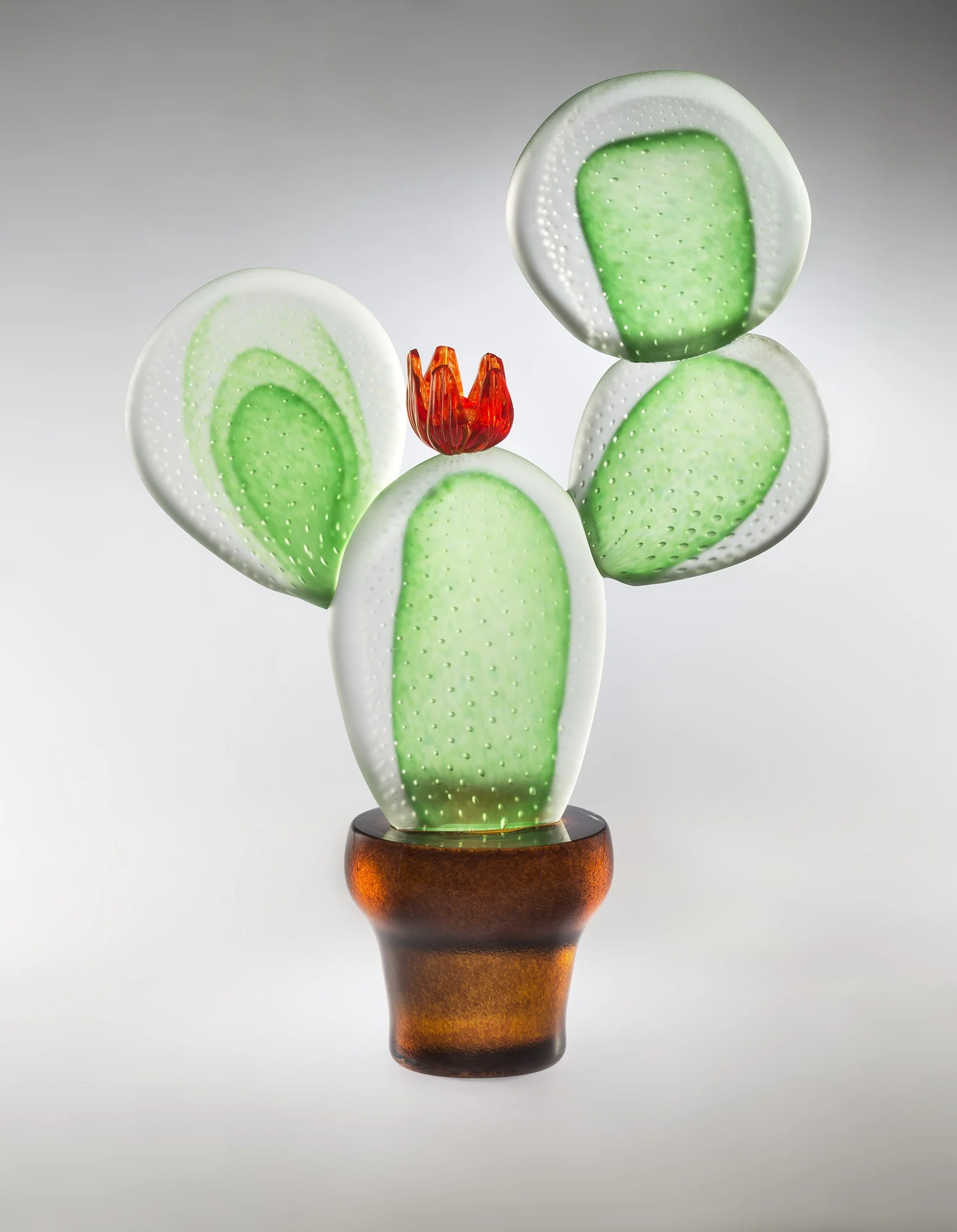 Moss green Opuntia circa 60 cm