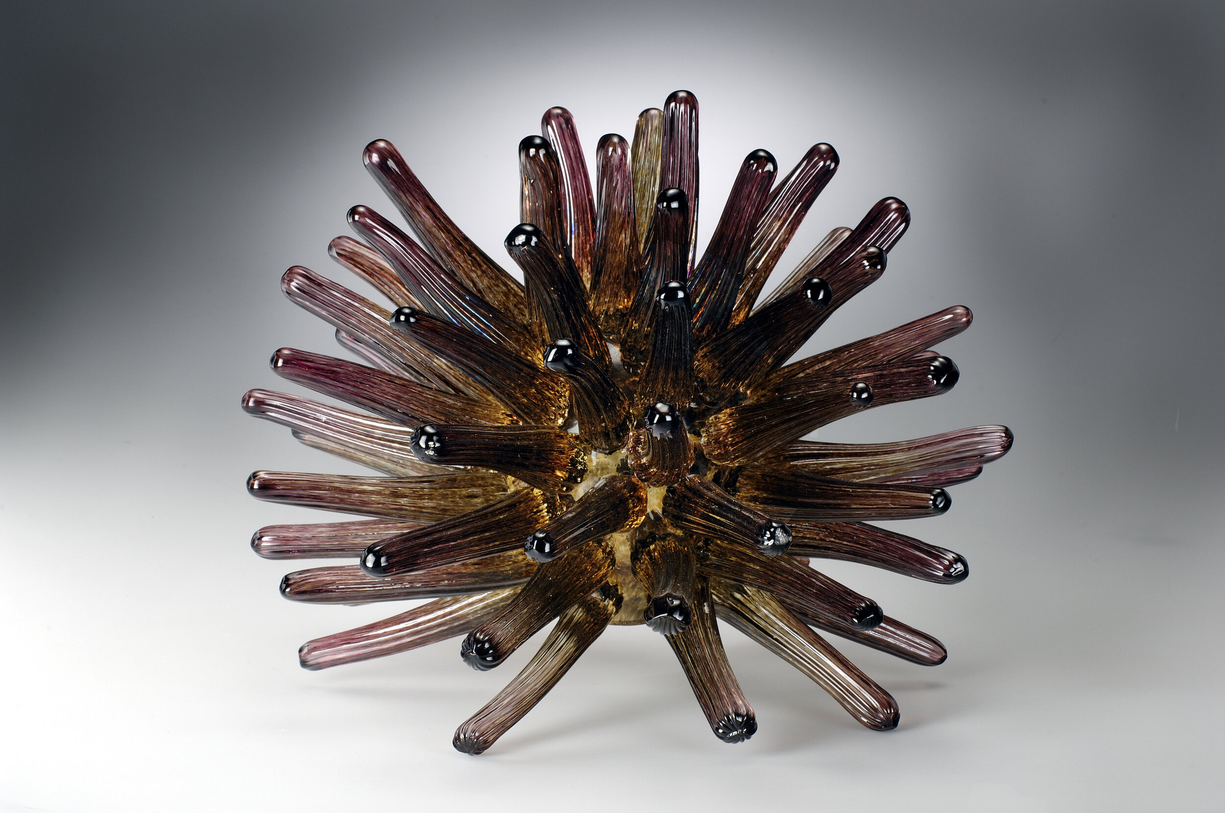 30 cm sea urchin.jpg