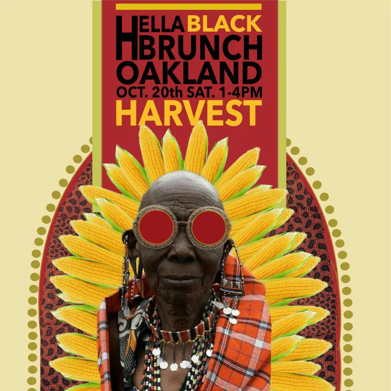 hbb harvest 18.jpg