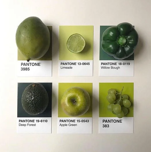 2017 COLOR OF THE YEAR - GREENERY AND GREEN IS MY ABSOLUTE FAVORITE COLOR! HOW ABOUT YOU?