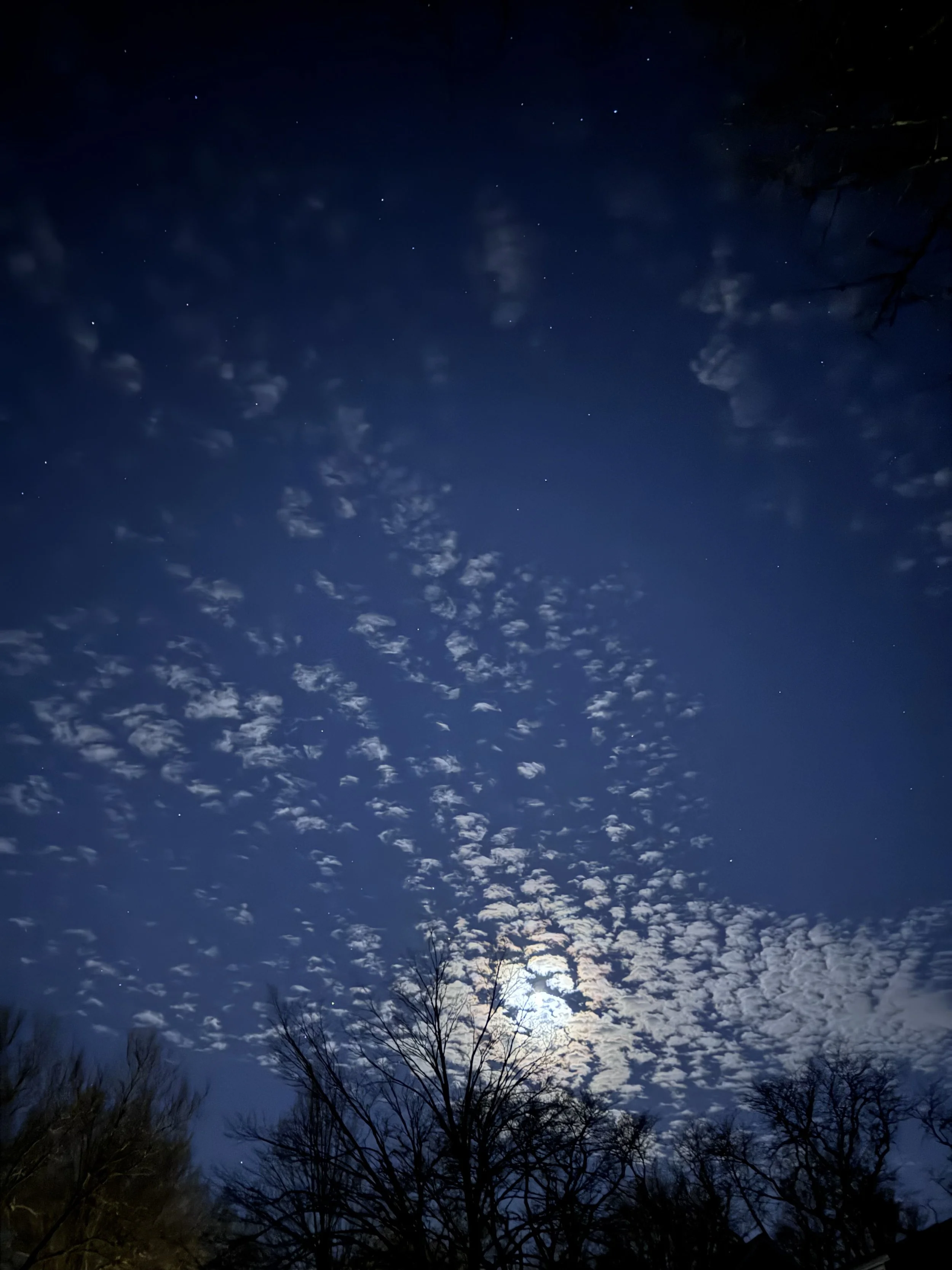 Anticipation by Rae Iolene