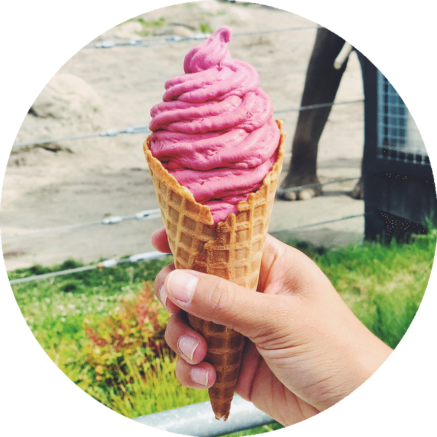 Zeds Real Fruit Ice Cream