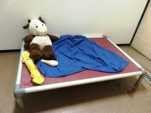 Elite Dog Boarding Suite.jpg